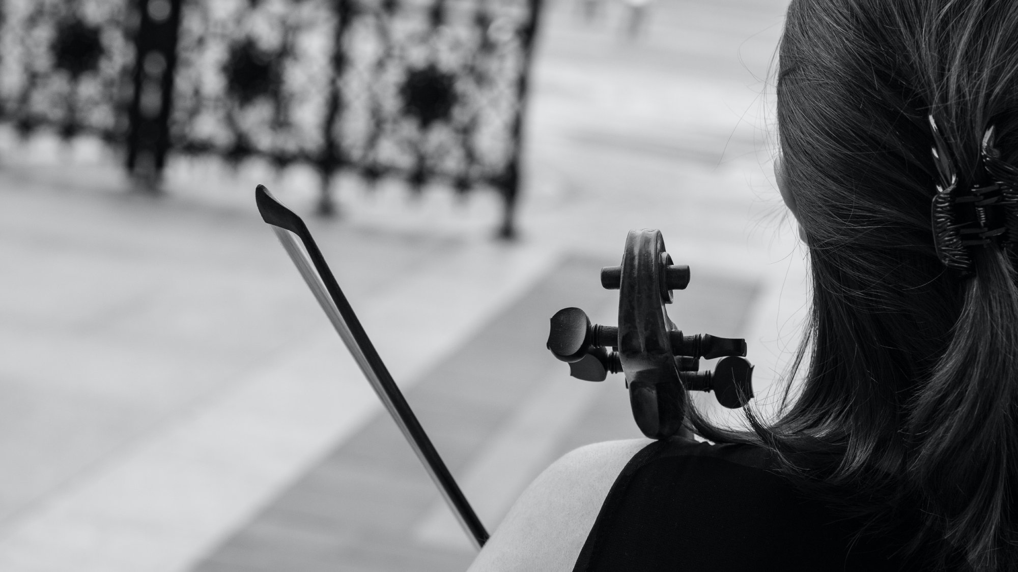 tetiana-shyshkina-dvO0eRKkvJQ-unsplash